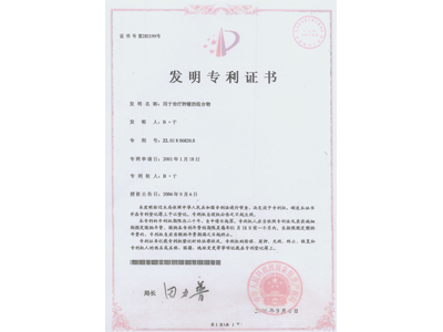 Chinese Patent of Slow Release Depot Therapy