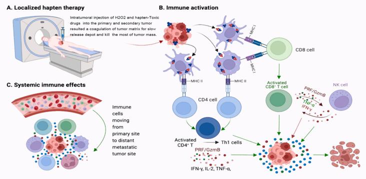 Mechanism of Action