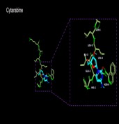 Hydralazine molecular structure